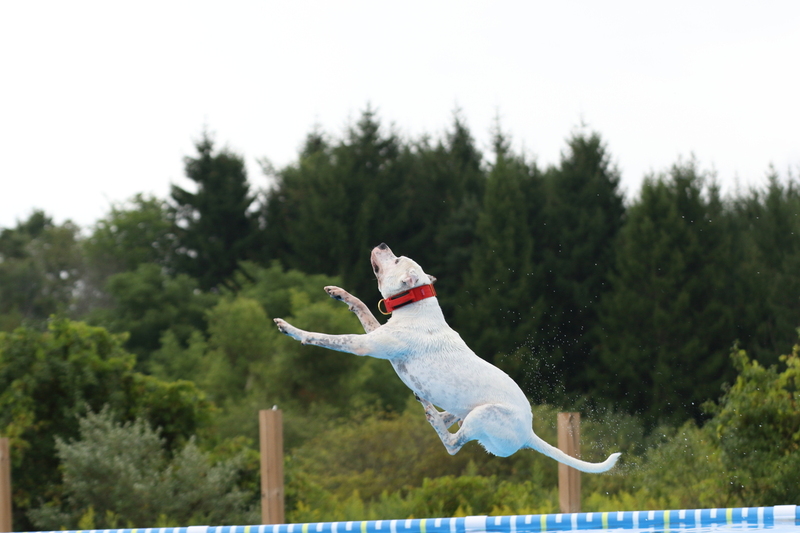 0P5A9780.jpg