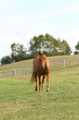 0P5A0999.jpg
