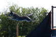 0P5A9070.jpg