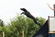 1J4A0121.jpg