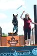 1J4A1353(1).jpg