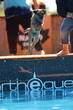 1J4A5064.jpg