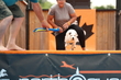 1J4A8886.jpg