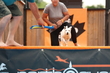 1J4A8887.jpg