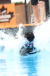 1J4A9333.jpg