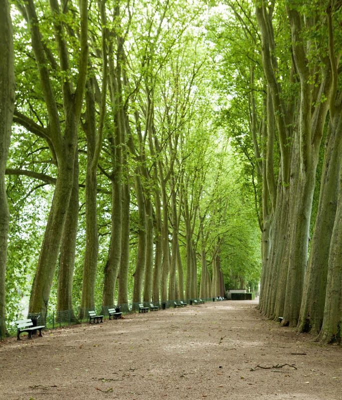 Bourges France Park.jpg