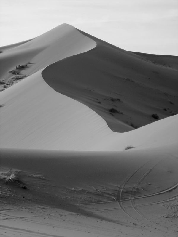 Sahara Desert Morocco.jpg