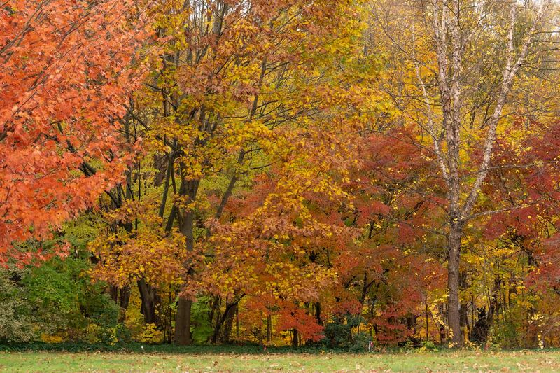 Monet would be jealous.jpg :: Wave Hill, NY