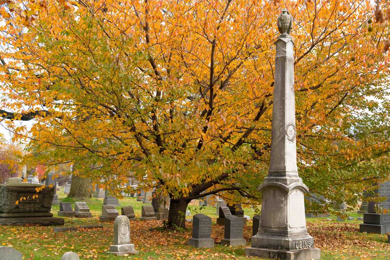 RIP and Splendor.jpg :: Greenwood Cemetery, NY