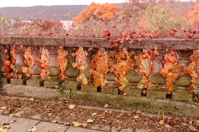 Wave Hill Terrace.jpg :: Autumn at Wave Hill, NY