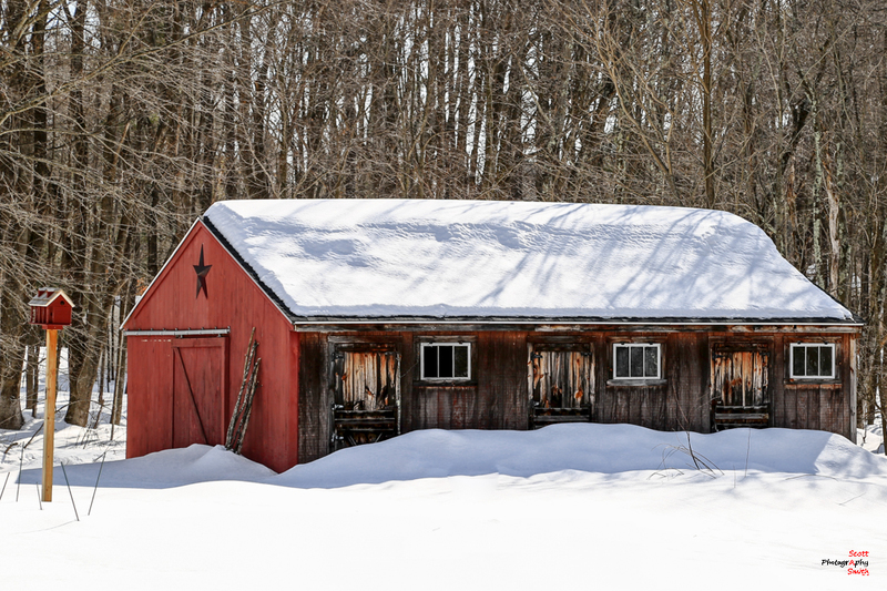 3 Horse Barn-IMG_0558_pe.jpg