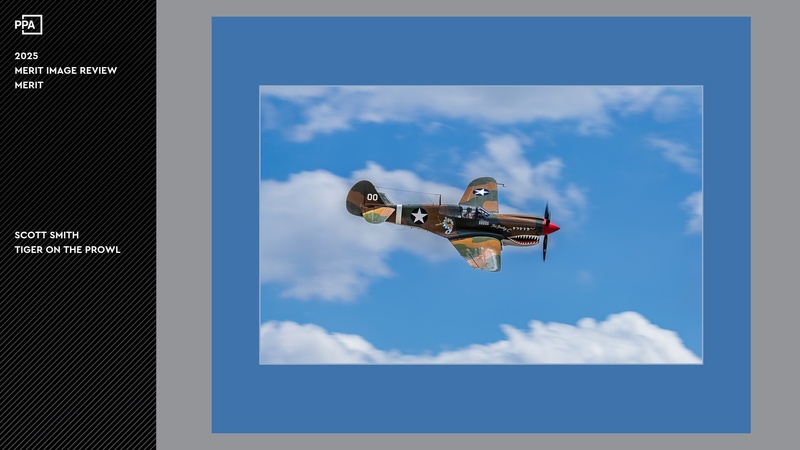 688a3bfacb923_merit (1).jpg