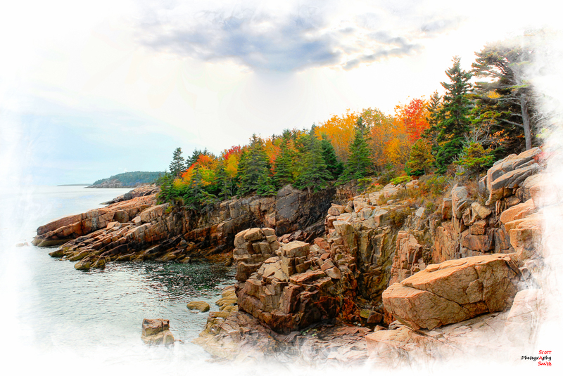 Acadia Shoreline(1).jpg