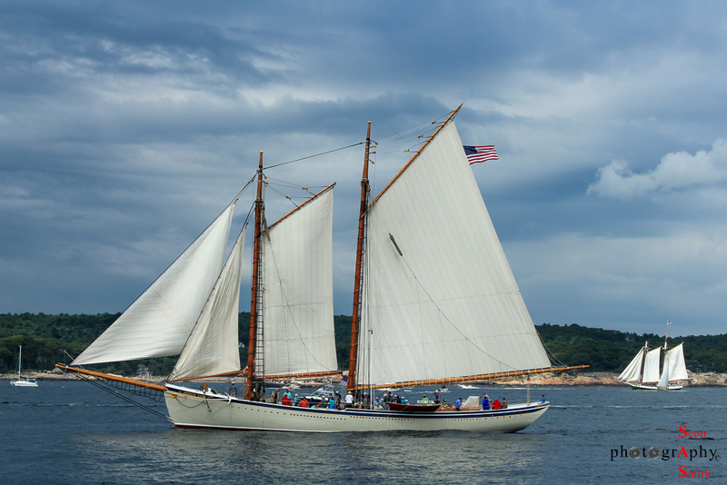 American Eagle-Gloucester 2013(1).jpg