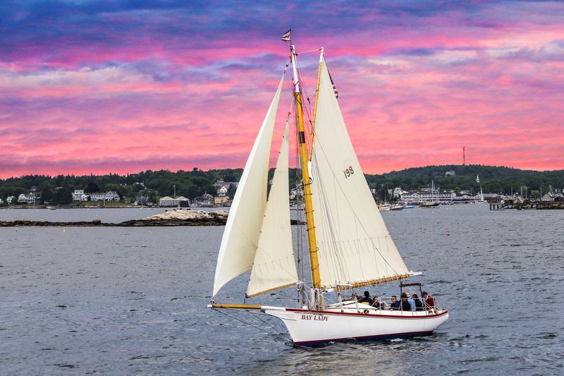 Bay Lady_MG_9676.jpg