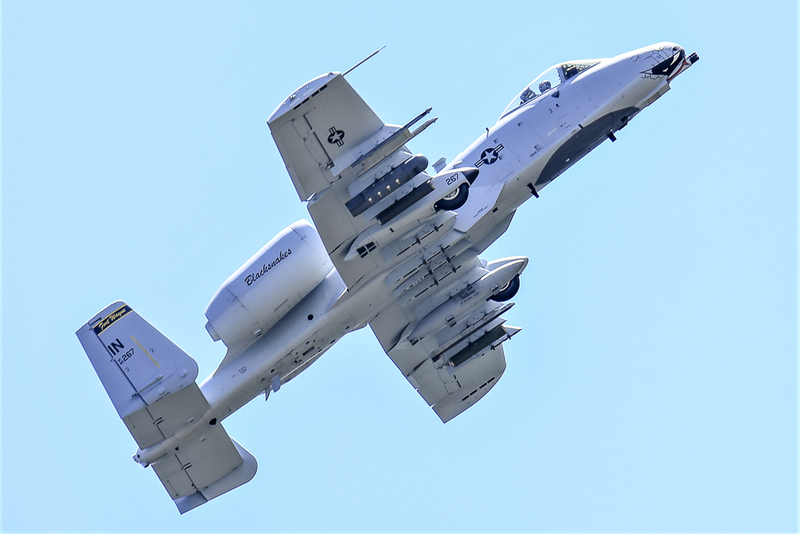 Blacksnake A-10-(1).jpg