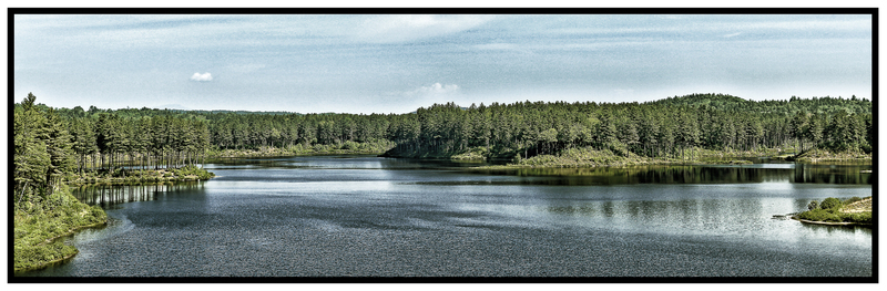 Canoe Dreams-IMG_2710(1).jpg