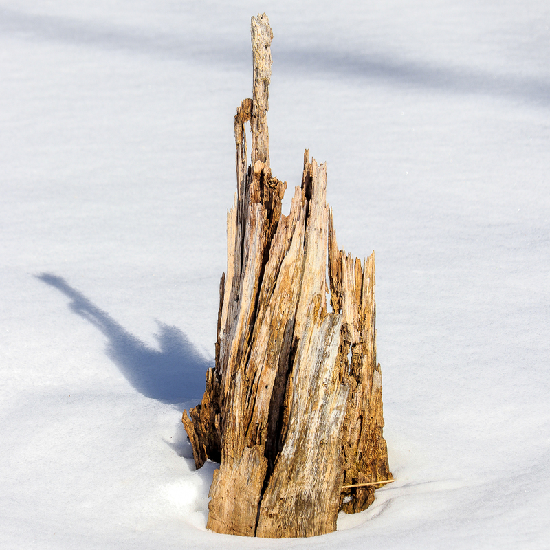 Castle Trapped in Snow and Ice-1740(1).jpg