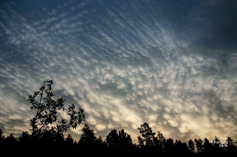 Cool Blue Clouds-IMG_9213(1).jpg