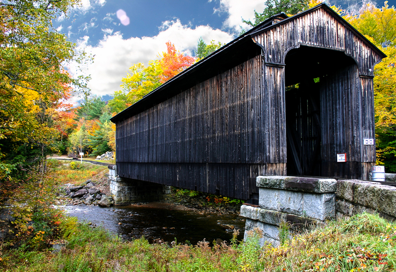 Covered Railroad Bridge(1).jpg
