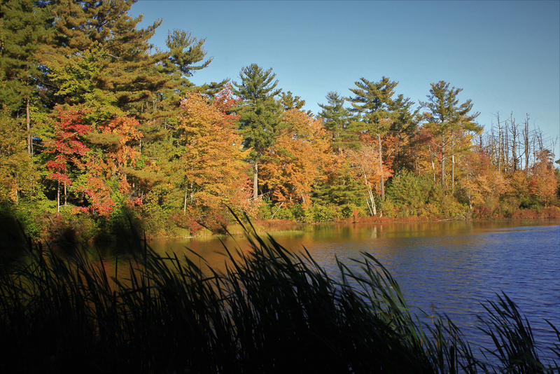 Crystal Lake Sunrise-8949(1).jpg