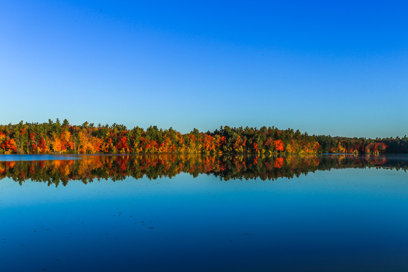 Early Morning Fall ReflectionsIMG_1756(1).jpg