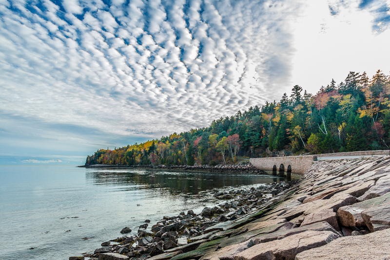 Fall Along the Coast_MG_1703(1).jpg
