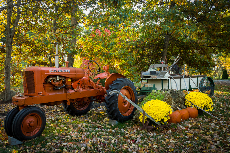 Fall Bounty-(1).jpg