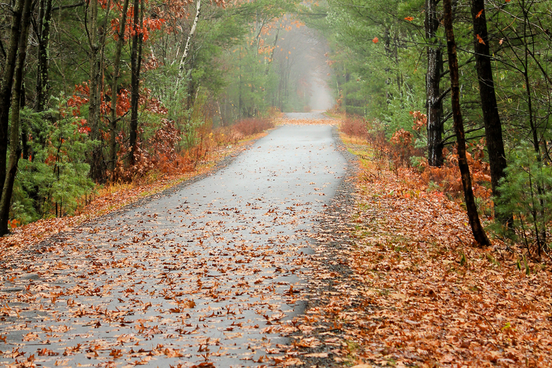 Fall Path-9616(1).jpg