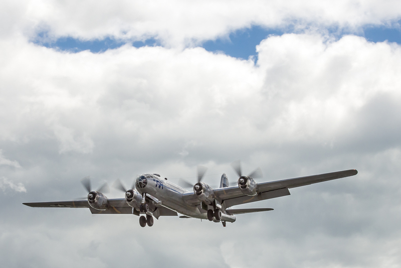 FiFi-6794(1).jpg