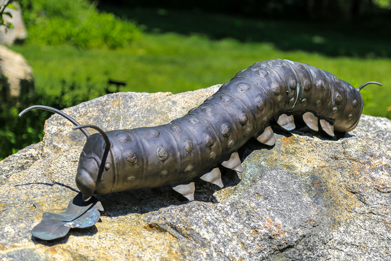 Killer Caaterpillar-8146(1).jpg