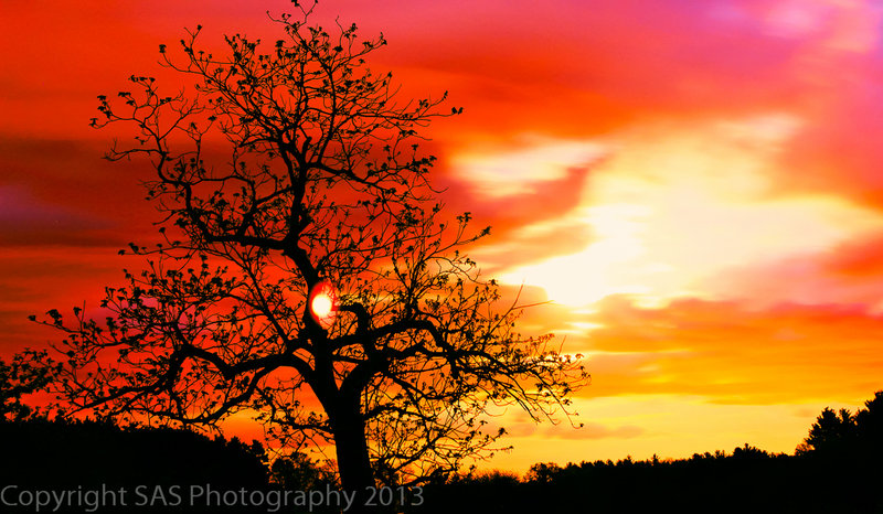 MacIntosh Sunset(1).jpg
