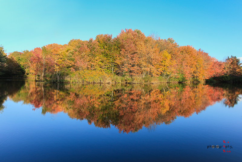 Macs Apple Pond-IMG_7379(1).jpg