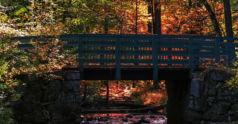Mine Falls Park Sunset-MG_5075_pe(1).jpg