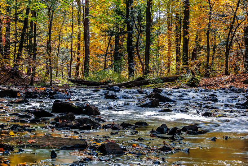 Mine Falls Park_IMG_1836(1).jpg