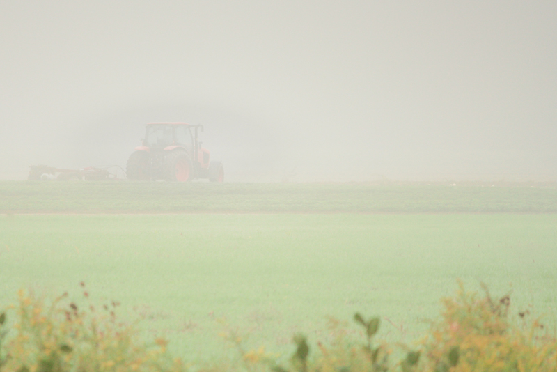 New England Fog Farming-8699(1).jpg