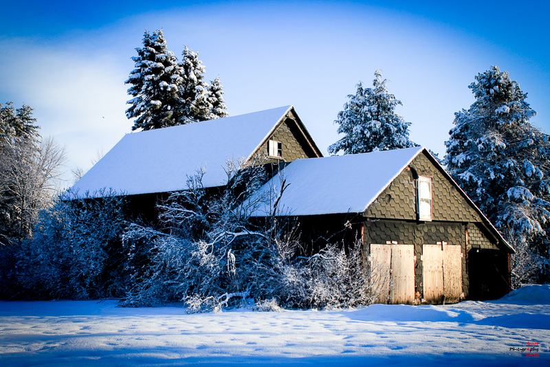 One More Snow Storm_IMG_7566-1(1).jpg
