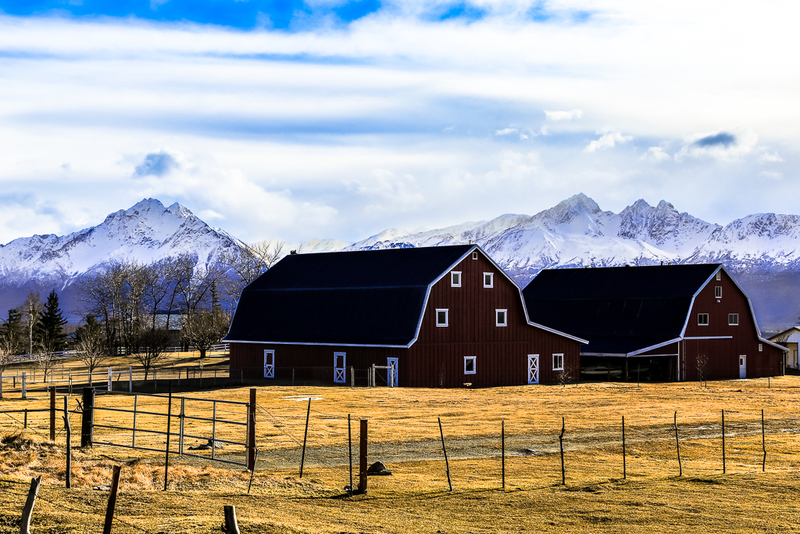 Palmer Alaska Farm-IMG_2273-2(1).jpg