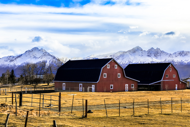Palmer Alaska Farm-IMG_2273-2a(1).jpg