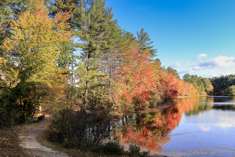 Path by Pond in Fall-1133(1).jpg