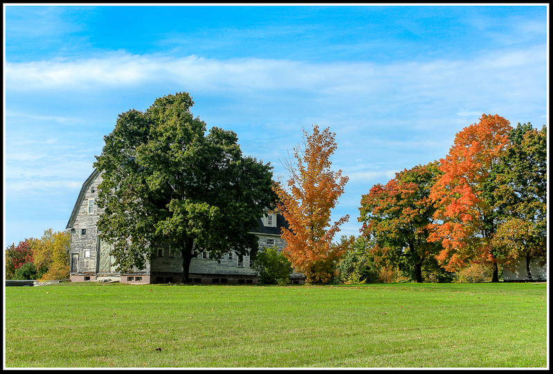 Peek a Boo Barn_Img 9102 w stroke(1).jpg