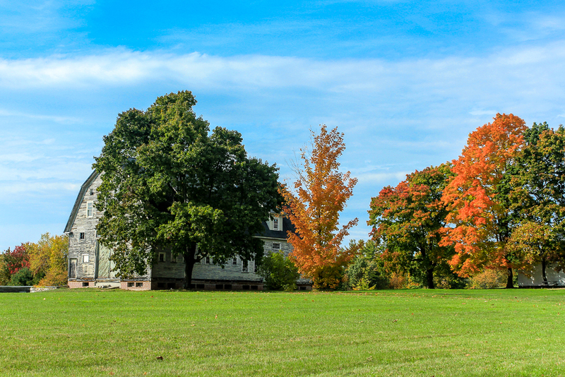 Peek-a-Boo Barn-9102(1).jpg