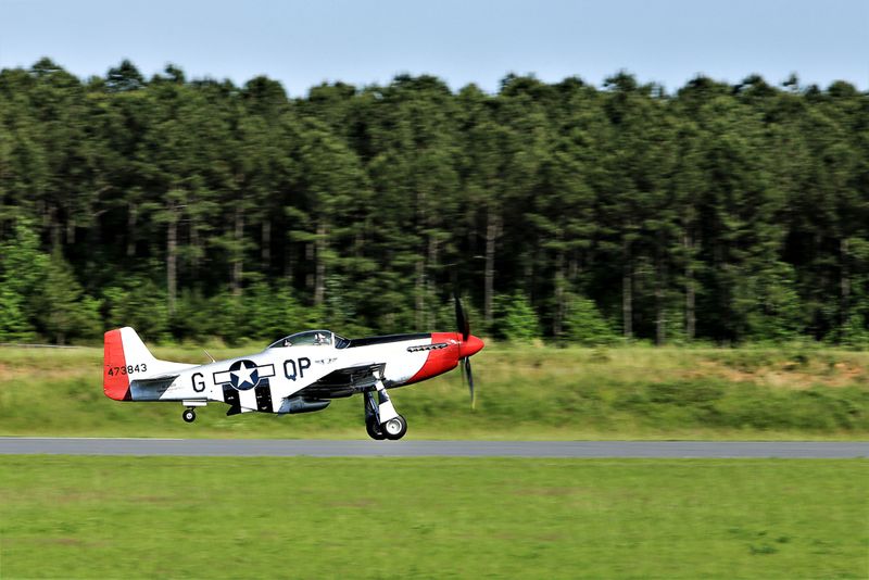 Red Nose Escort-5186(1).jpg