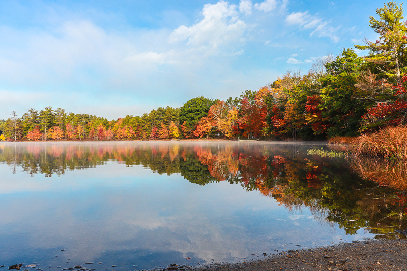 Robinson Pond-3438(1).jpg