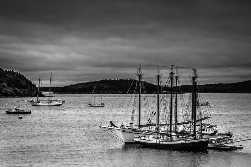 Safe Harbor Bar Harbor-IMG_4589(1).jpg