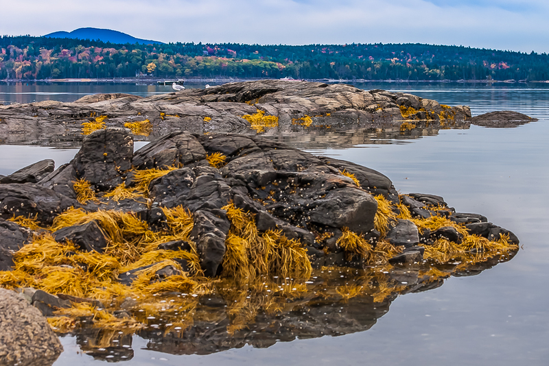 Seaside_CRW_9578(1).jpg