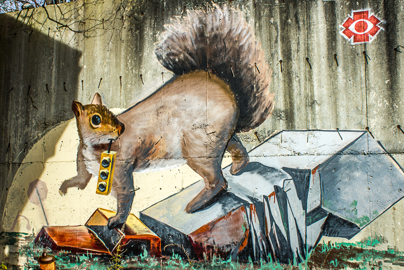 Squirrel_MG_1946(1).jpg