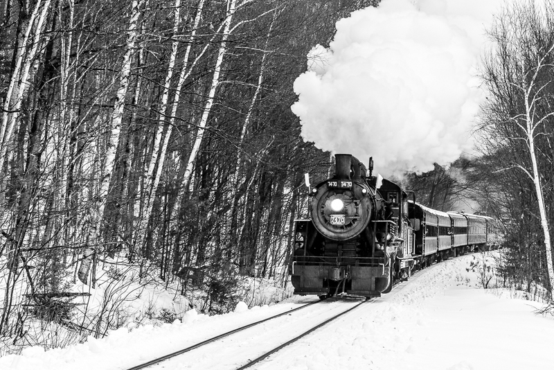 Steam in the Snow 2020-3865(1).jpg