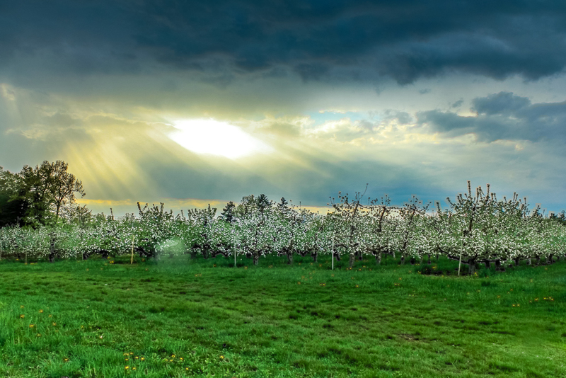 Storm Break-IMG_3327(1).jpg