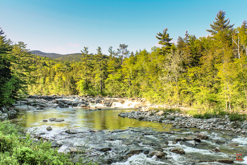 Swift River Swiming Hole-IMG_9325(1).jpg